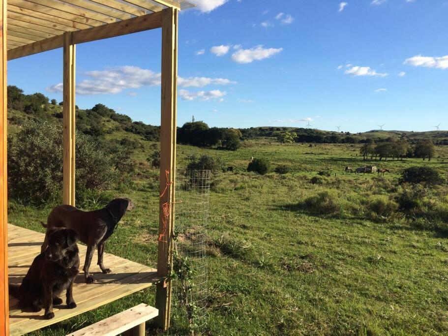 Villa Bungalow De Campo Torero - Sierras, Naturaleza Y Relax à Minas Extérieur photo