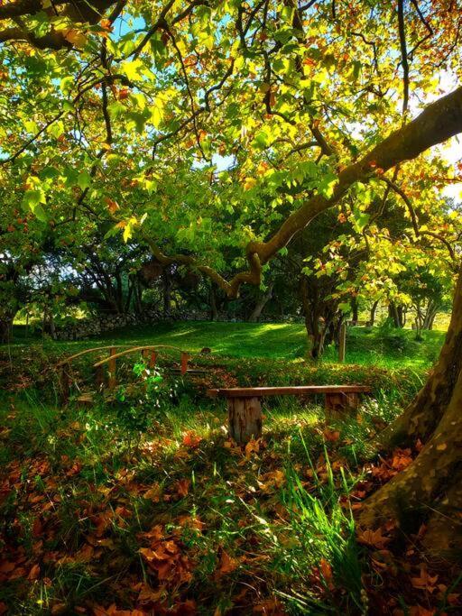 Villa Bungalow De Campo Torero - Sierras, Naturaleza Y Relax à Minas Extérieur photo