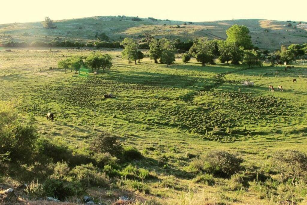 Villa Bungalow De Campo Torero - Sierras, Naturaleza Y Relax à Minas Extérieur photo