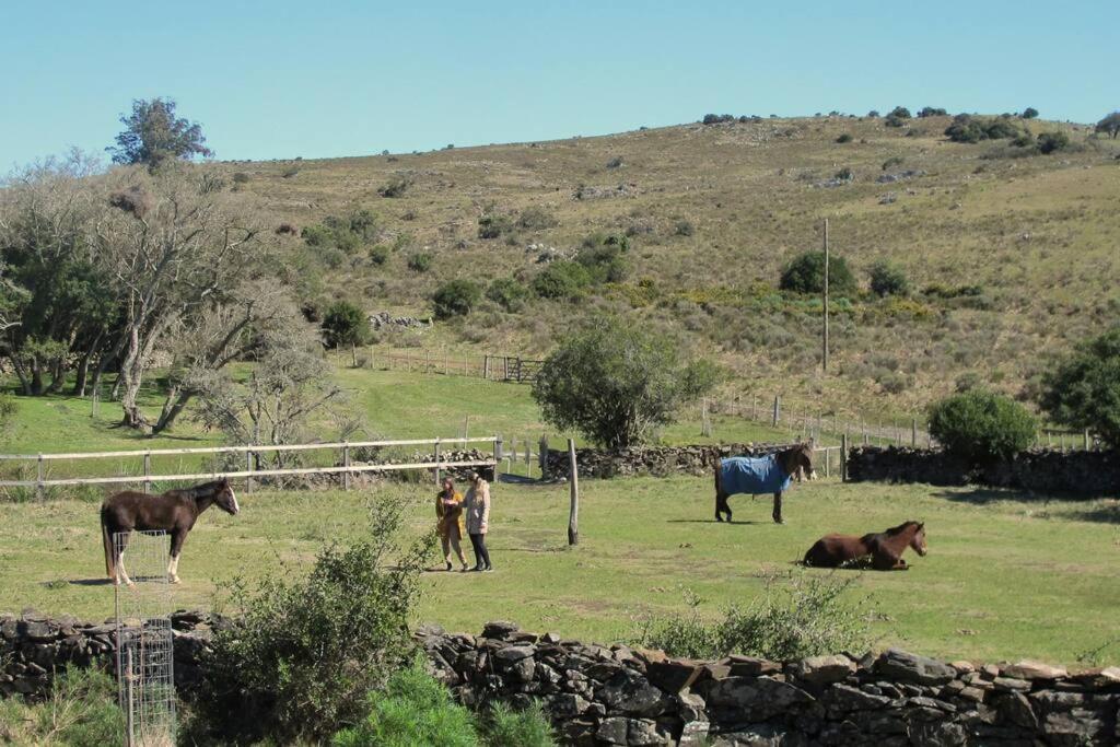 Villa Bungalow De Campo Torero - Sierras, Naturaleza Y Relax à Minas Extérieur photo