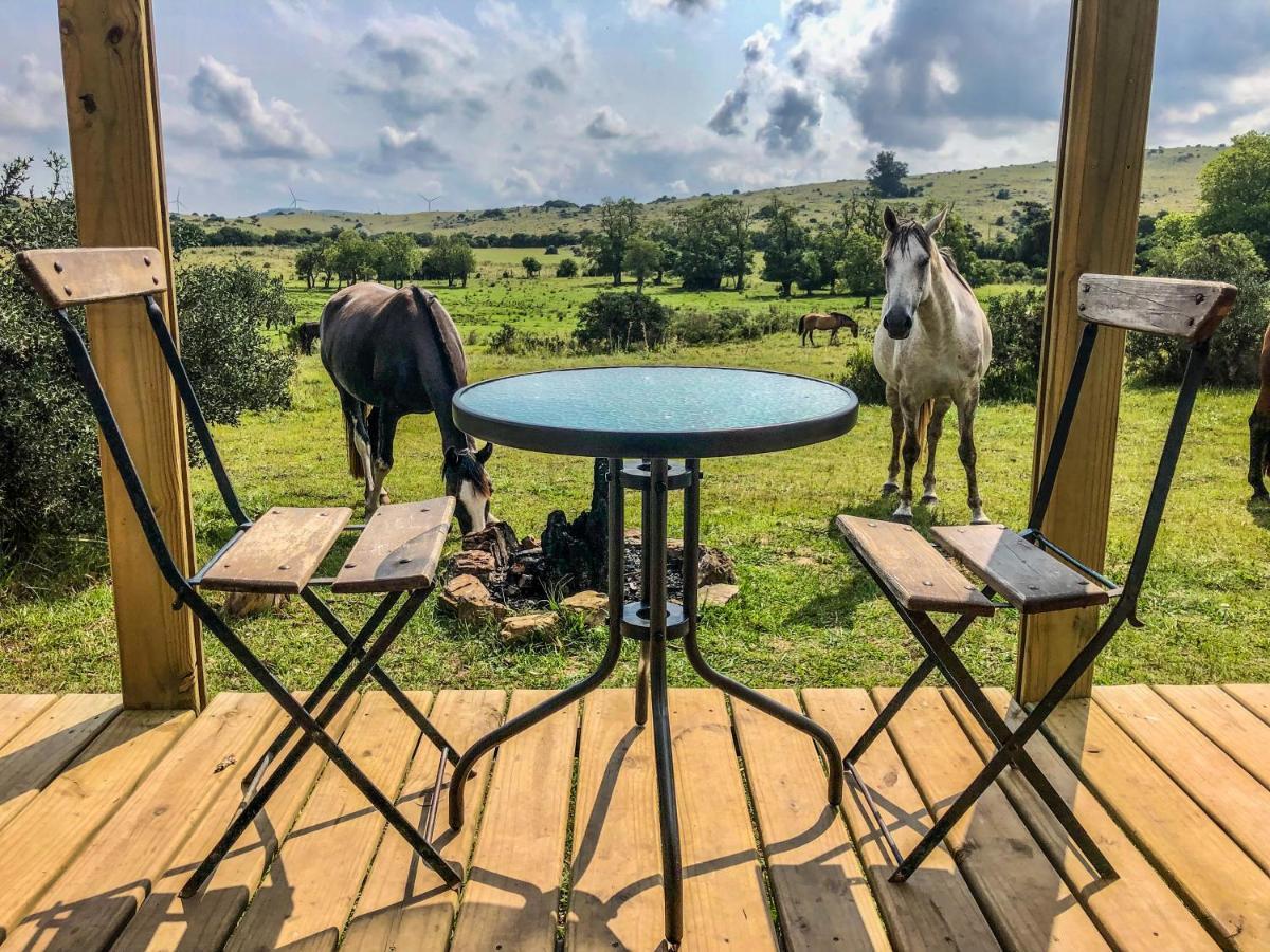 Villa Bungalow De Campo Torero - Sierras, Naturaleza Y Relax à Minas Extérieur photo